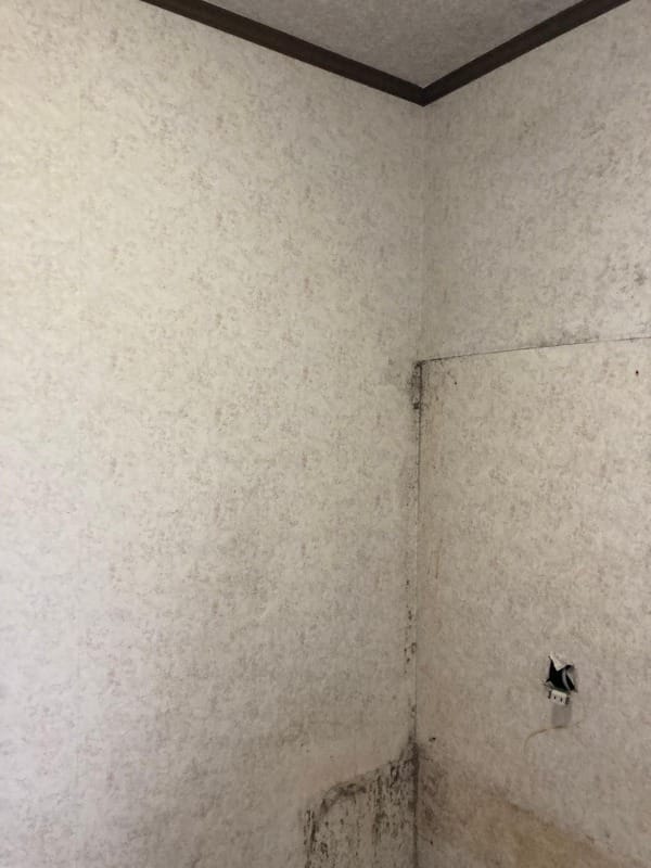 南九州市　N様邸　洗面所クロス張替え